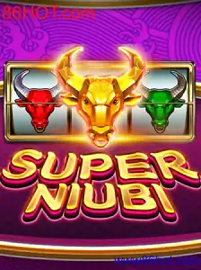 SuperNiubi